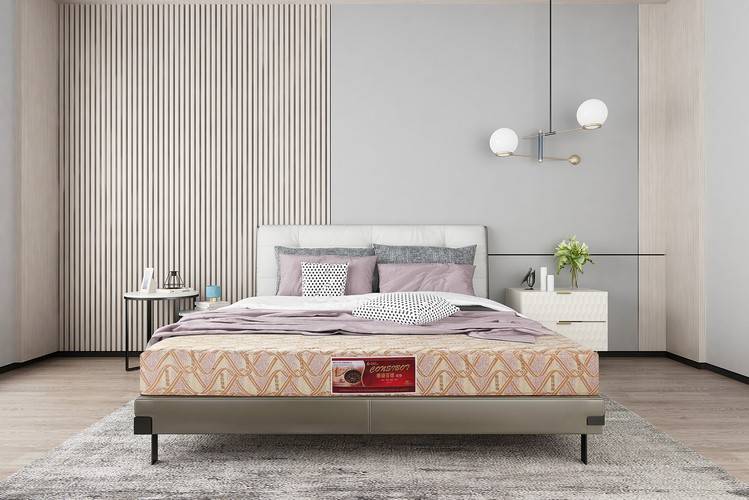 三个月无理由退货,敢承诺的康姿百德典雅款磁性床垫到底有多自信? 三个月无理由退货,敢承诺的康姿百德典雅款磁性床垫到底有多自信?